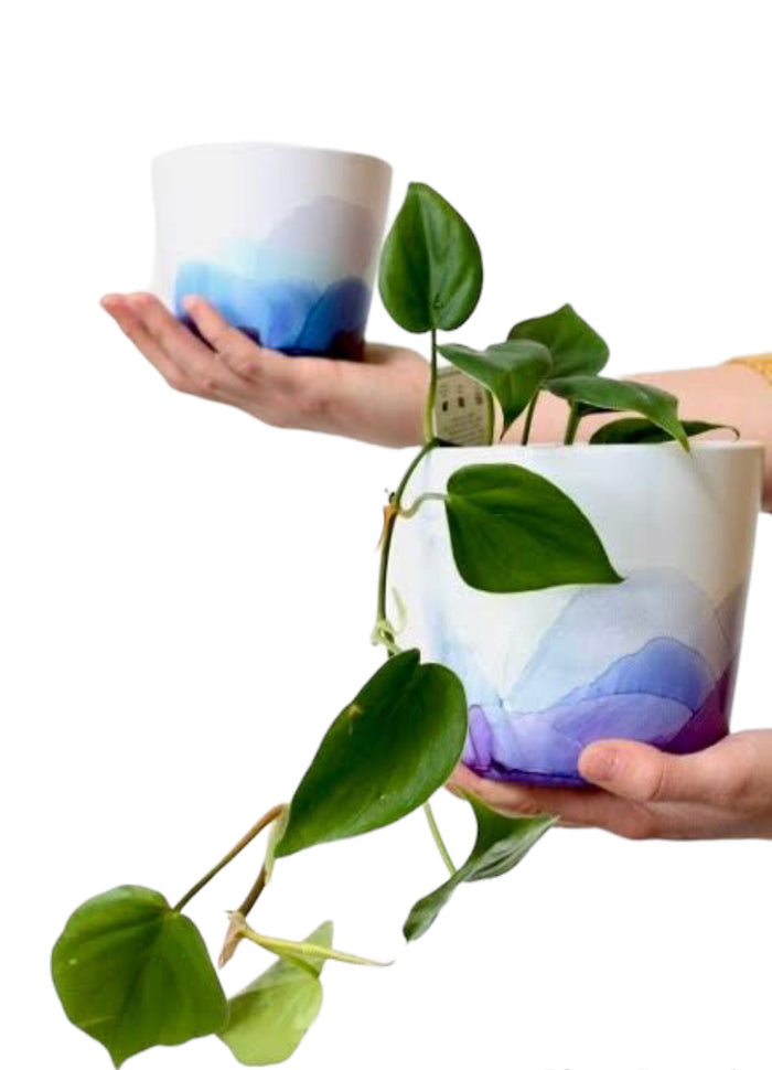 Alcohol Ink Art + Plant Pot Workshop: October 23rd