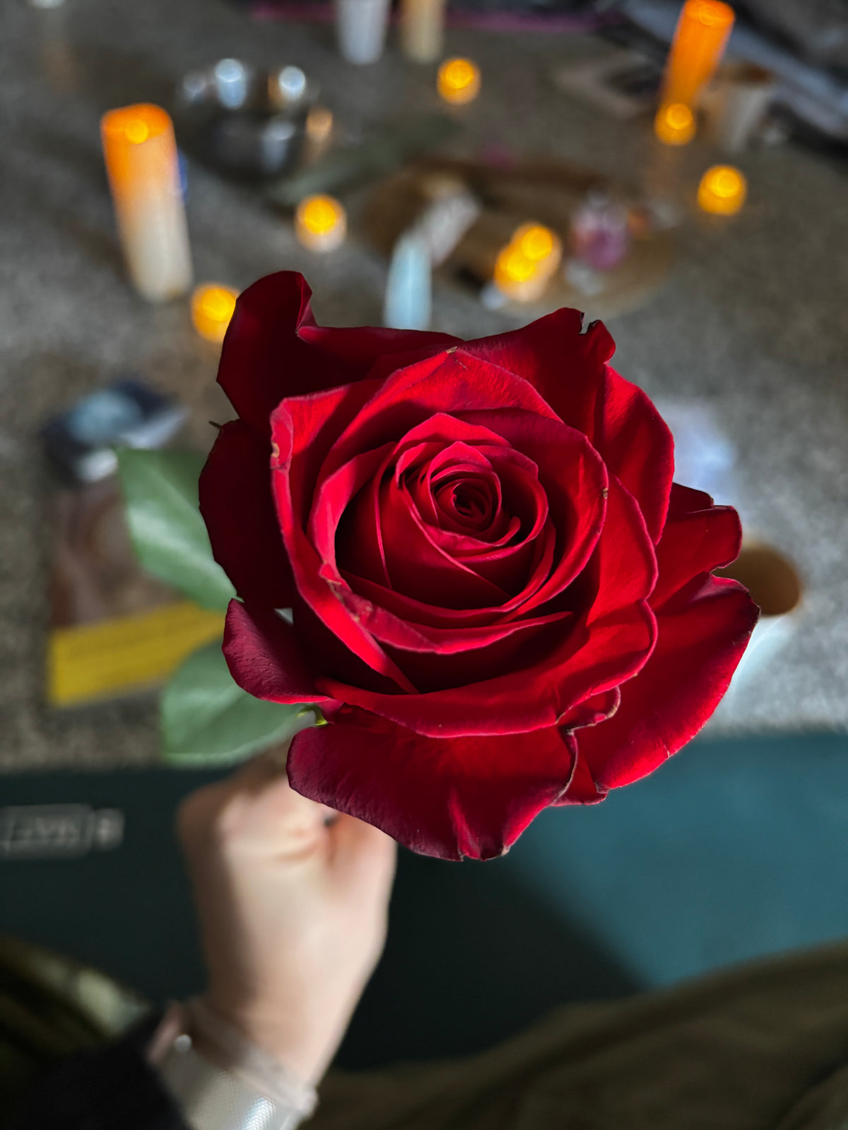 Reborn | 1 Day Immersion (Moose Jaw)