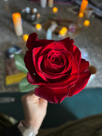 Reborn | 1 Day Immersion (Moose Jaw)