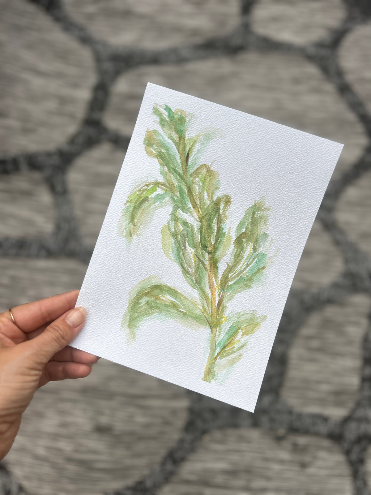 Paint with JMS | Watercolours Florals + Botanicals 101