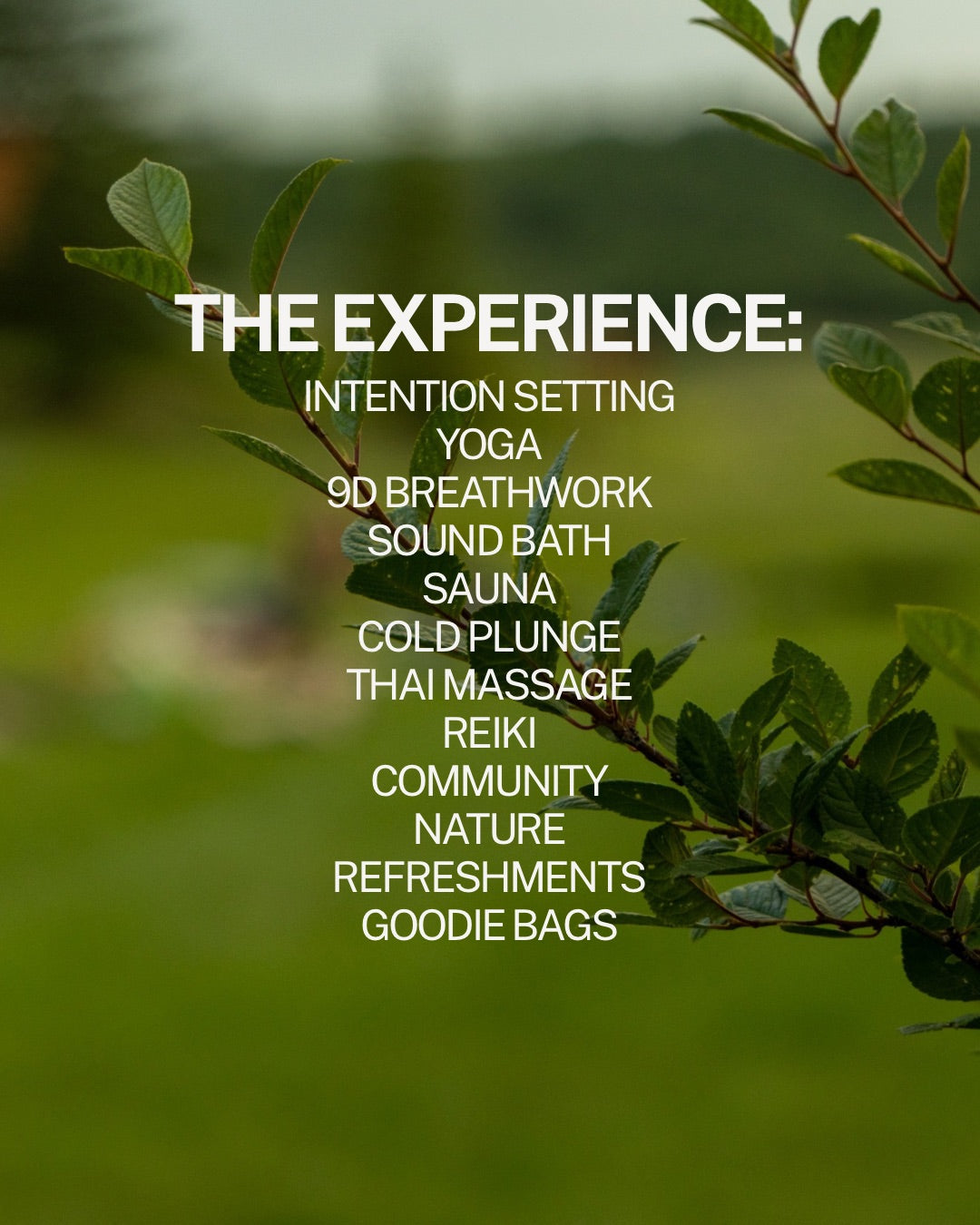 The Routine Refresh | Half-Day Retreat at Nordic Spa YQR | September 20th