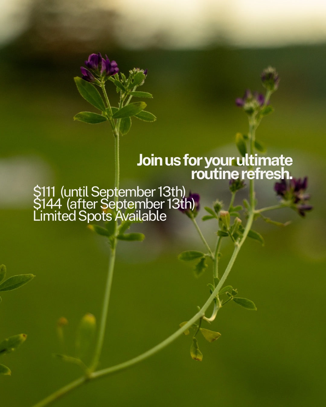 The Routine Refresh | Half-Day Retreat at Nordic Spa YQR | September 20th